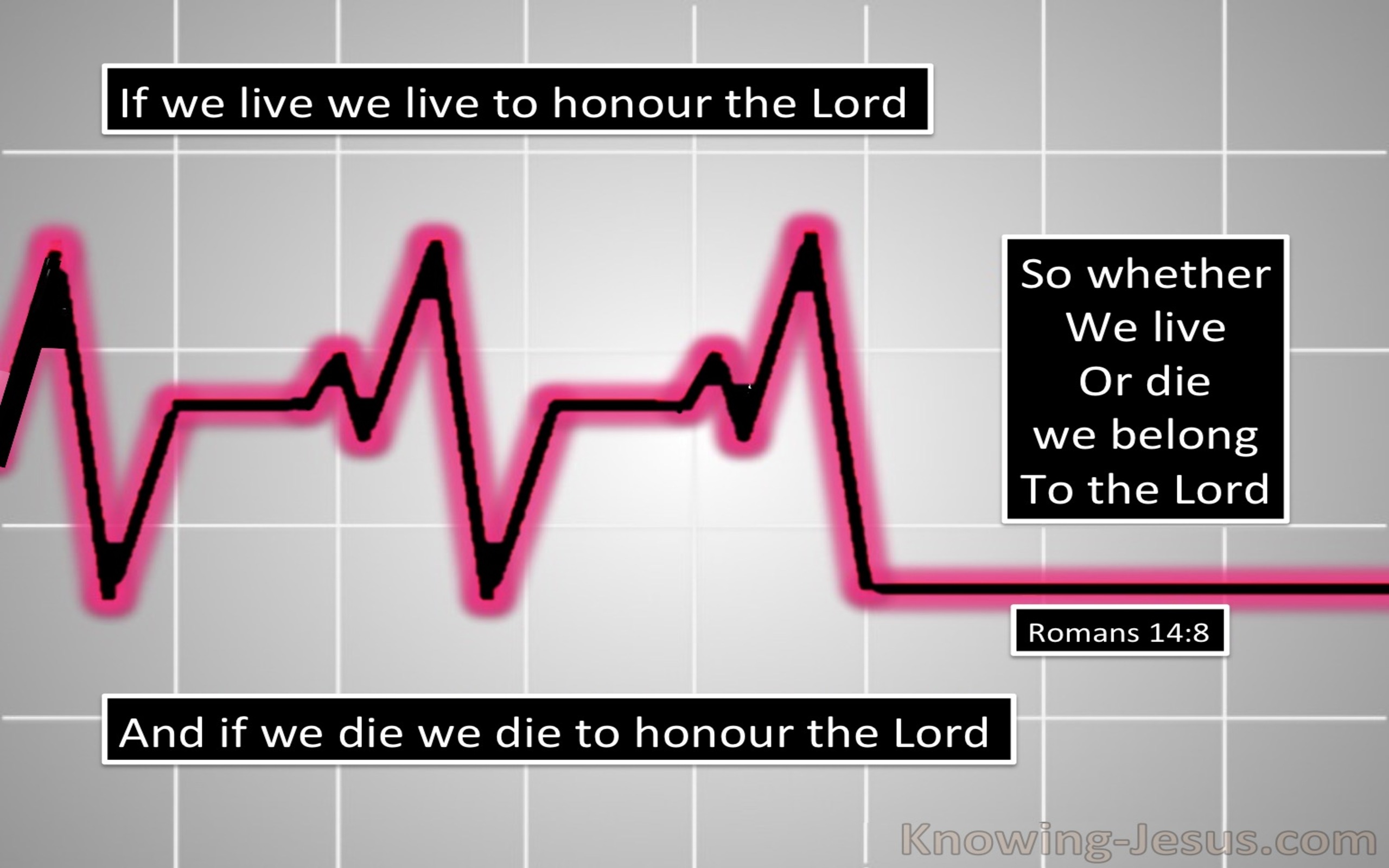 Romans 14:8 Live and Die to the Lord (gray)